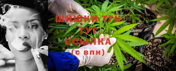 ешки Алзамай