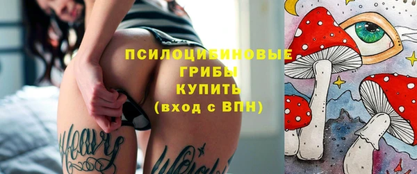 ешки Алзамай